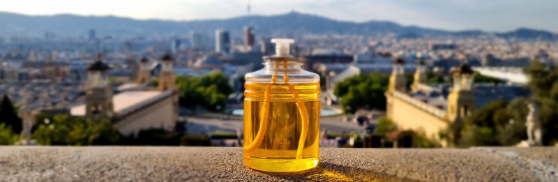 bougie-la-citronnelle-anti-moustiques-recharge-photophores