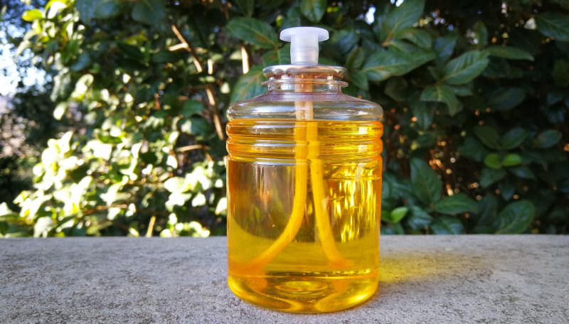 Bougies à la citronnelle pour terrasses de bars et restaurants, recharges antimoustiques pour photophores